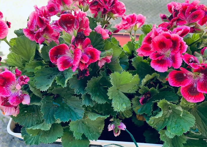 Appartamento Alfacinha Ajuda *