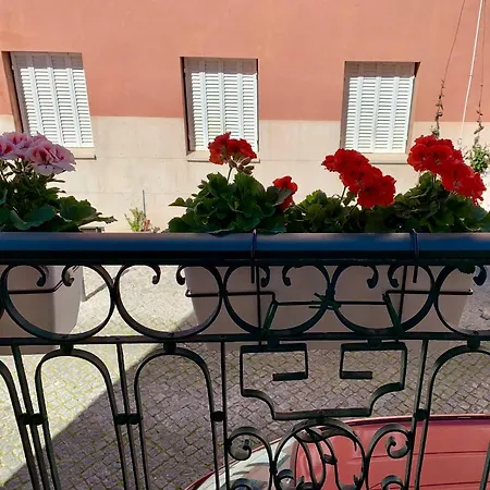 阿尔法辛哈阿居达公寓